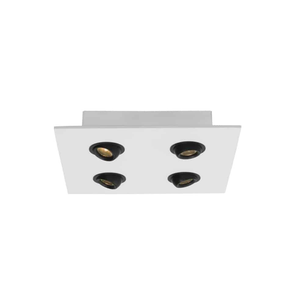 Plafondlamp-Cameleon-quattro-wit-zwart-4x2W.jpg