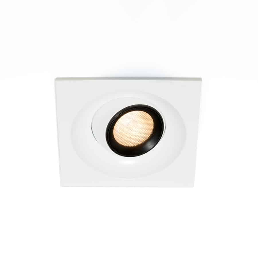 cameleon-II-Square-deep-wit.jpg